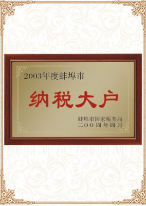 2003年纳税大户